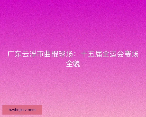 广东云浮市曲棍球场：十五届全运会赛场全貌